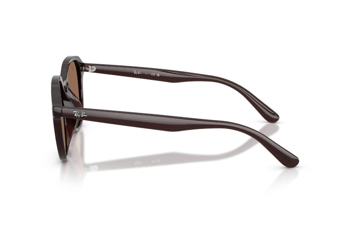 Ray-Ban Lentes de Sol RB4459D