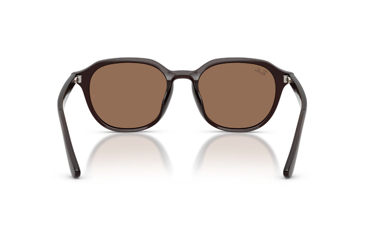 Ray-Ban Lentes de Sol RB4459D