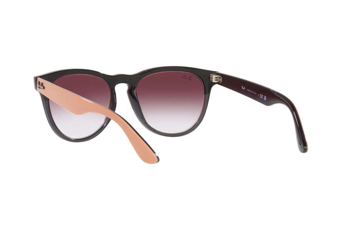 Ray-Ban Lentes de Sol Iris RB4471