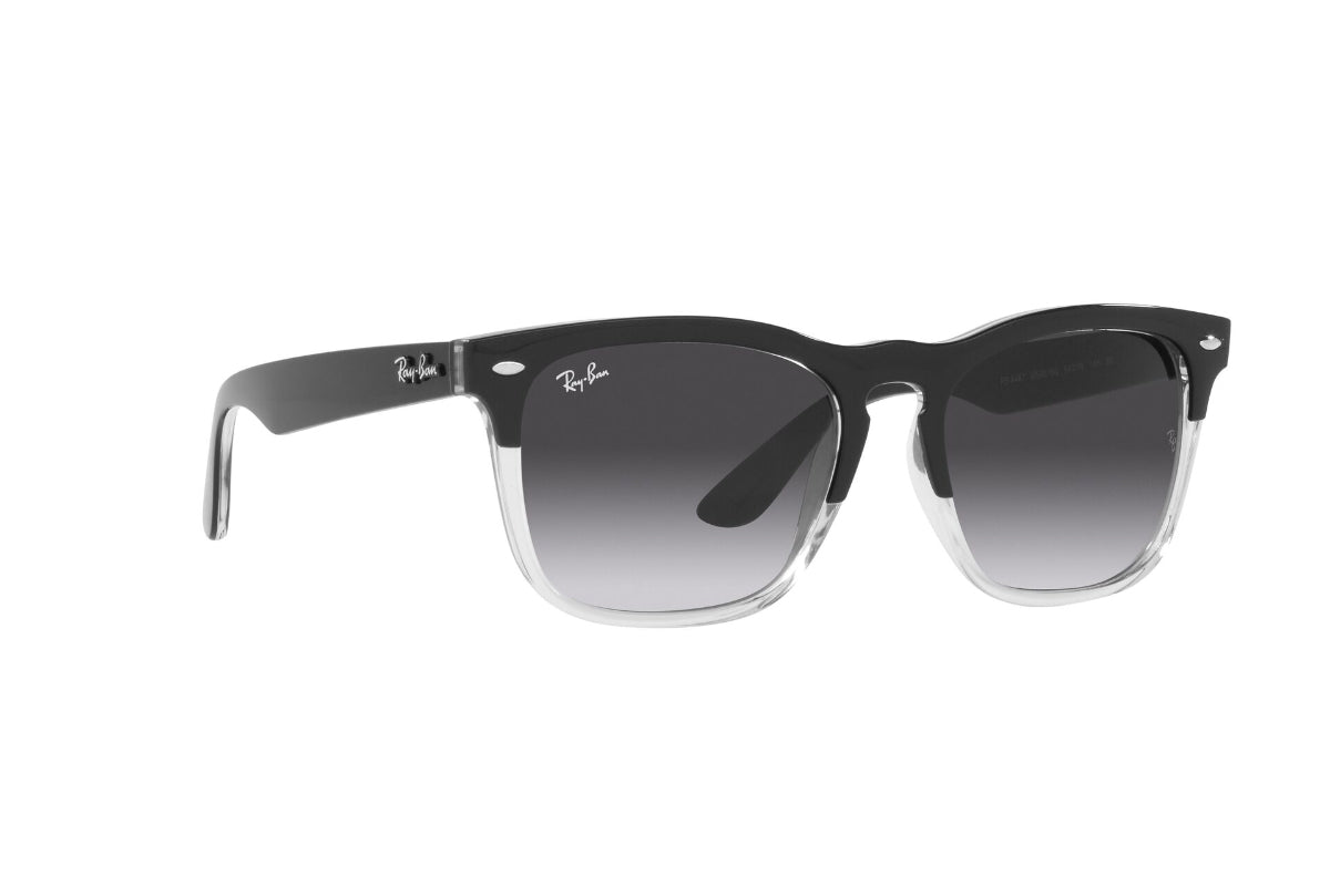 Ray-Ban Lentes de Sol Steve RB4487
