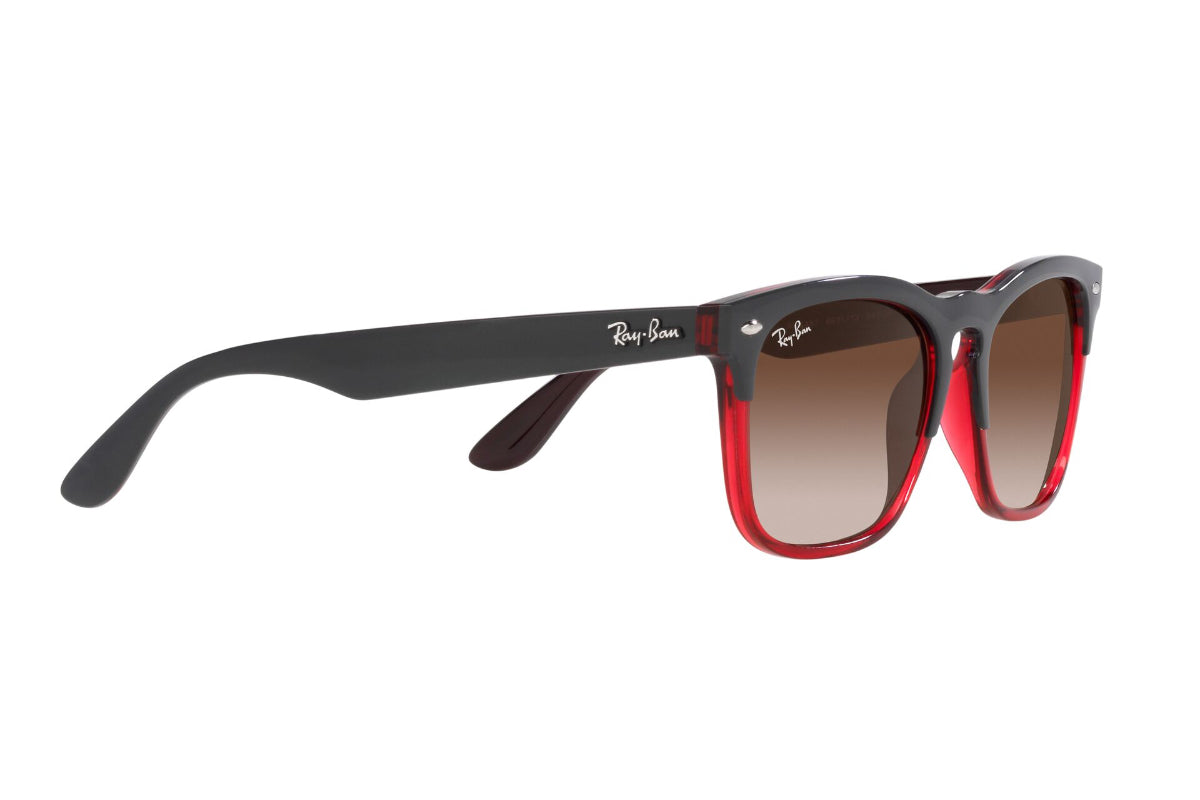 Ray-Ban Lentes de Sol Steve RB4487