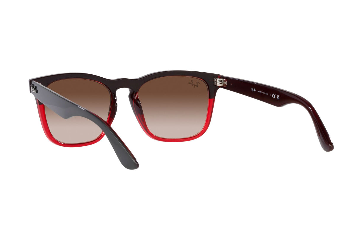 Ray-Ban Lentes de Sol Steve RB4487