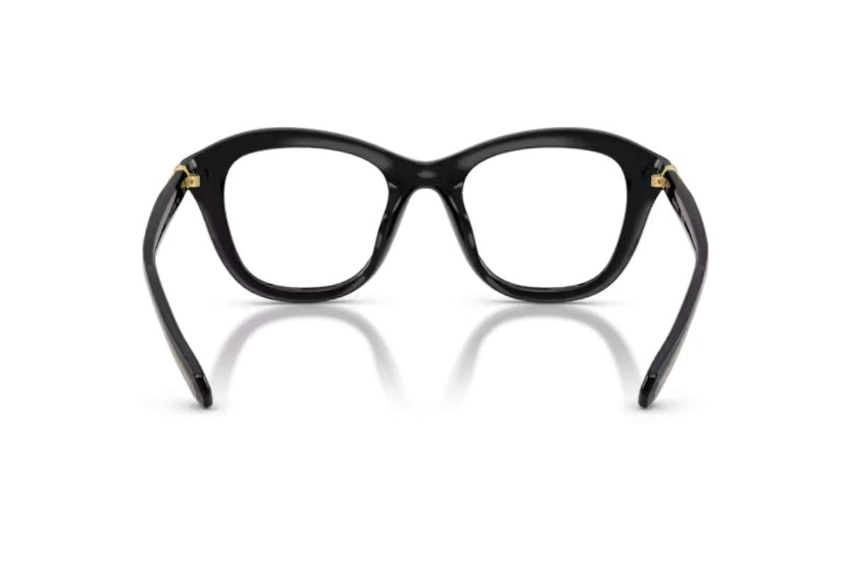 Swarovski Lentes Ópticos SK2042U