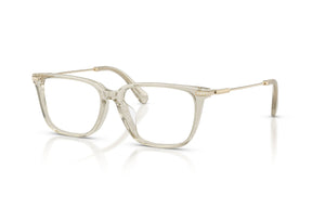 Swarovski Lentes Ópticos SK2067D