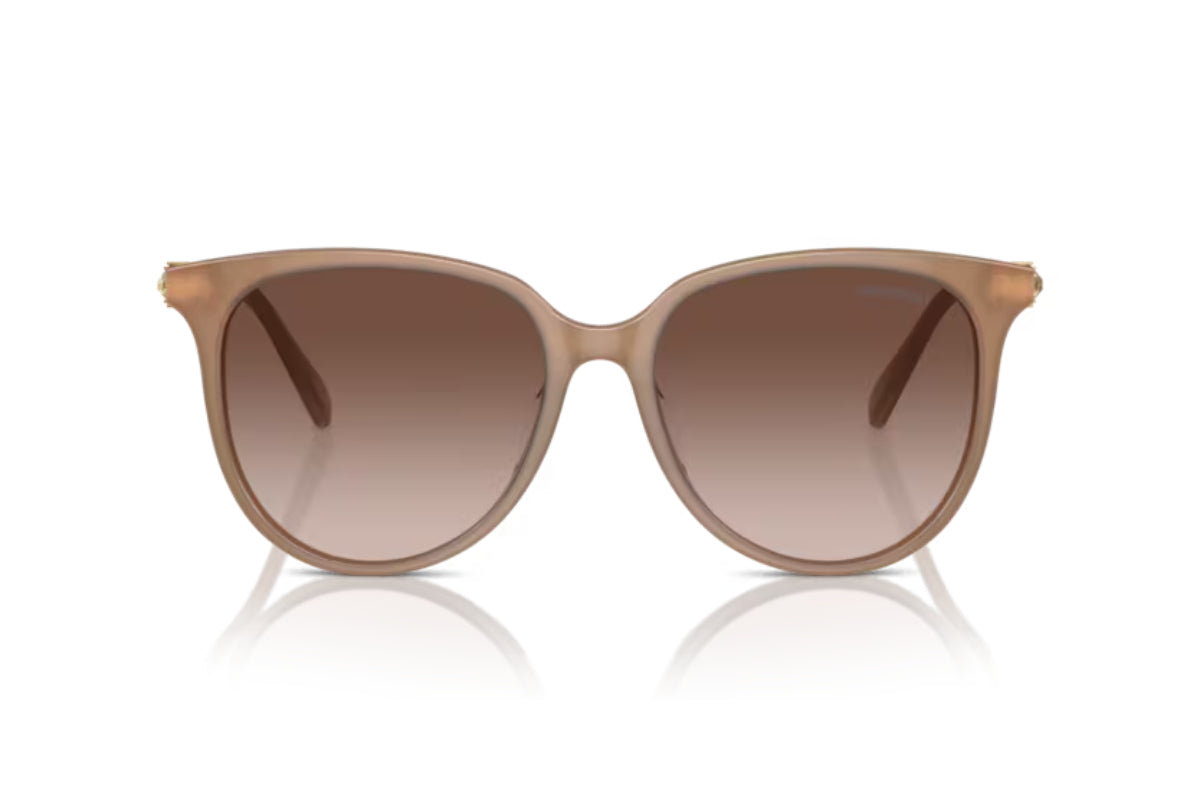 Swarovski Lentes de Sol Degradados SK6023D