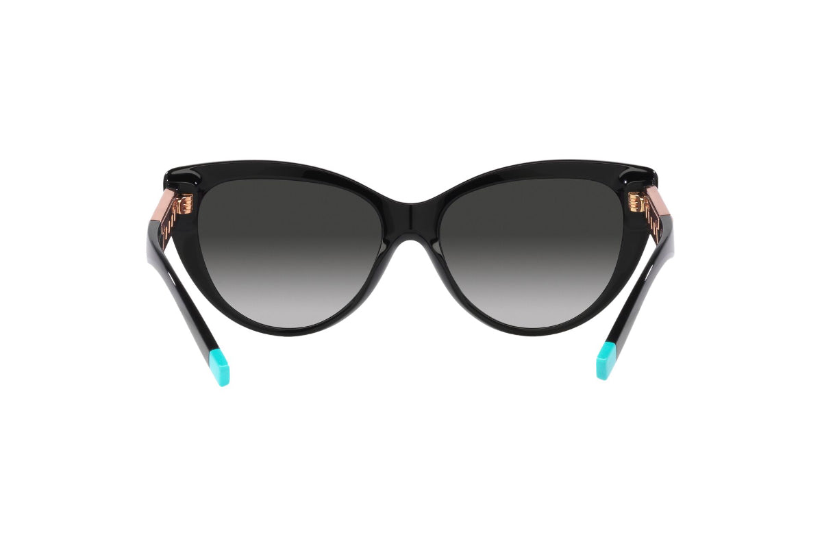 Tiffany Lentes de Sol TF4196