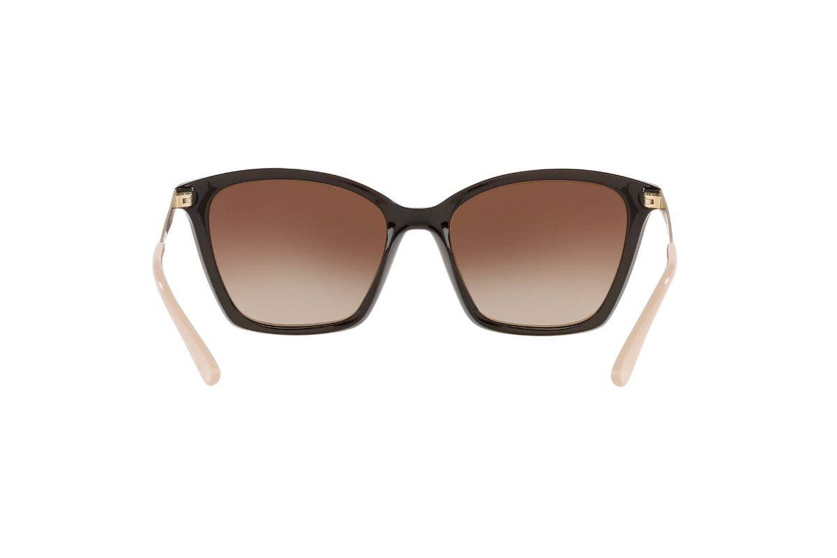 Lentes de Sol Brown & Top Dark Brown Vogue