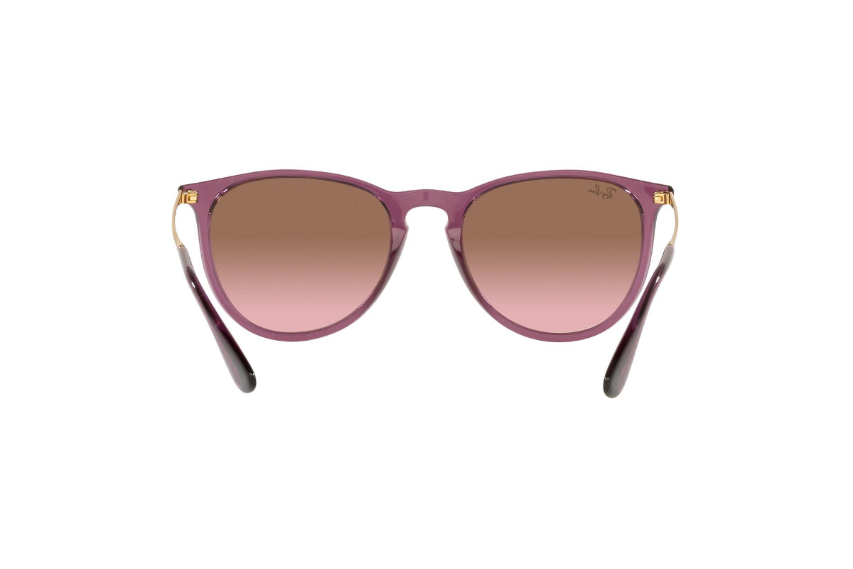 Lentes de Sol Erika Transparent Violet Ray-Ban