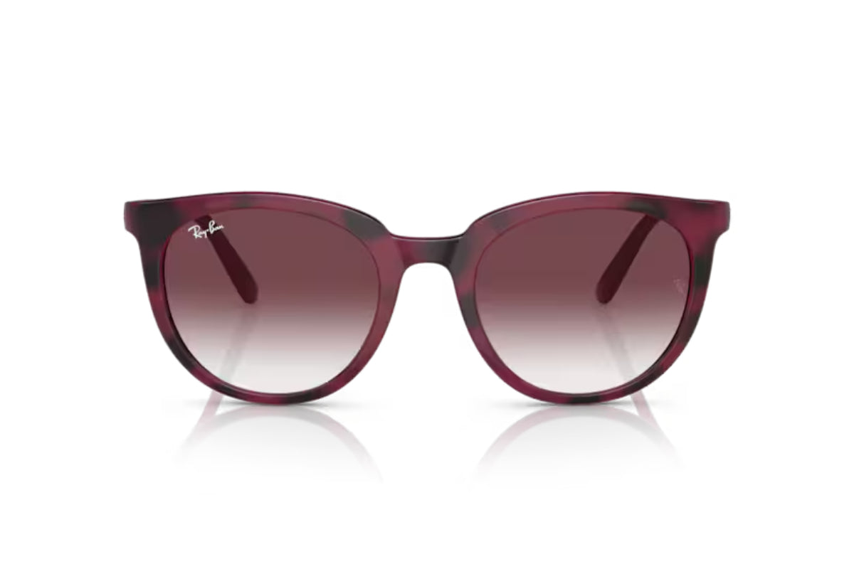 Ray-Ban Lentes de Sol RB4383L