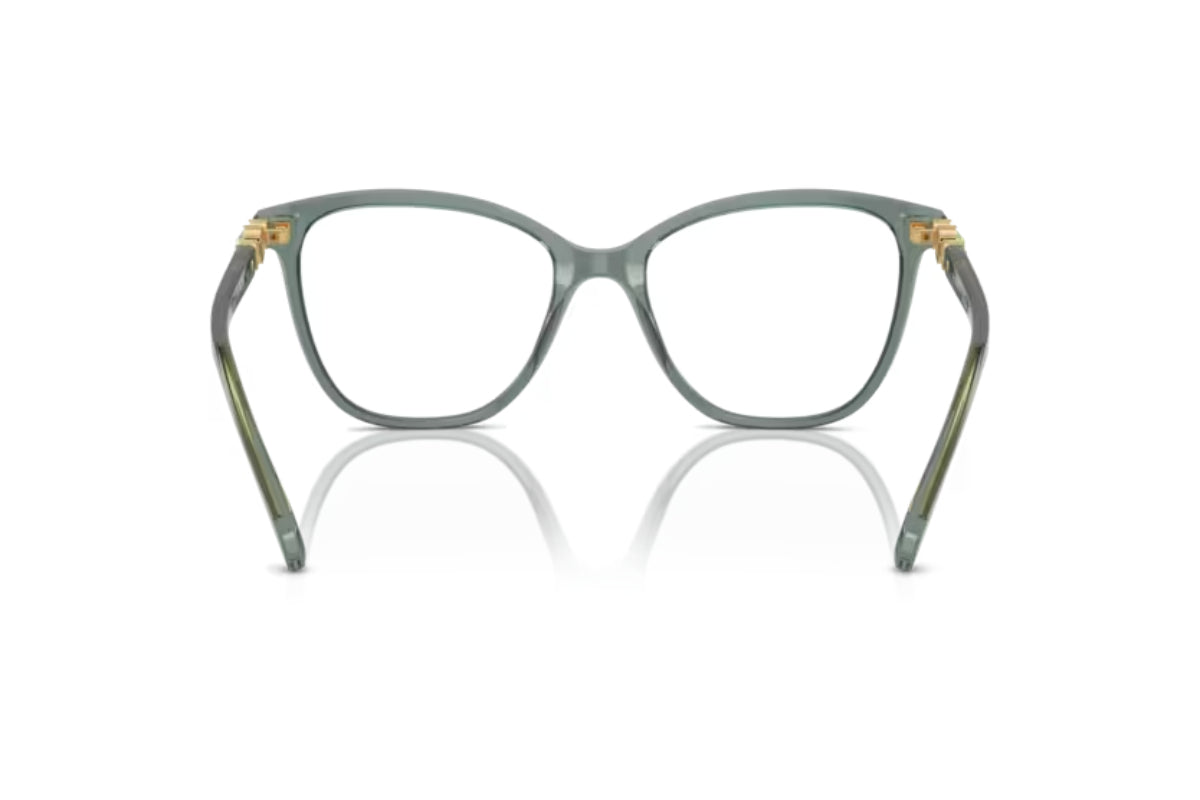 Swarovski Lentes Ópticos SK2020