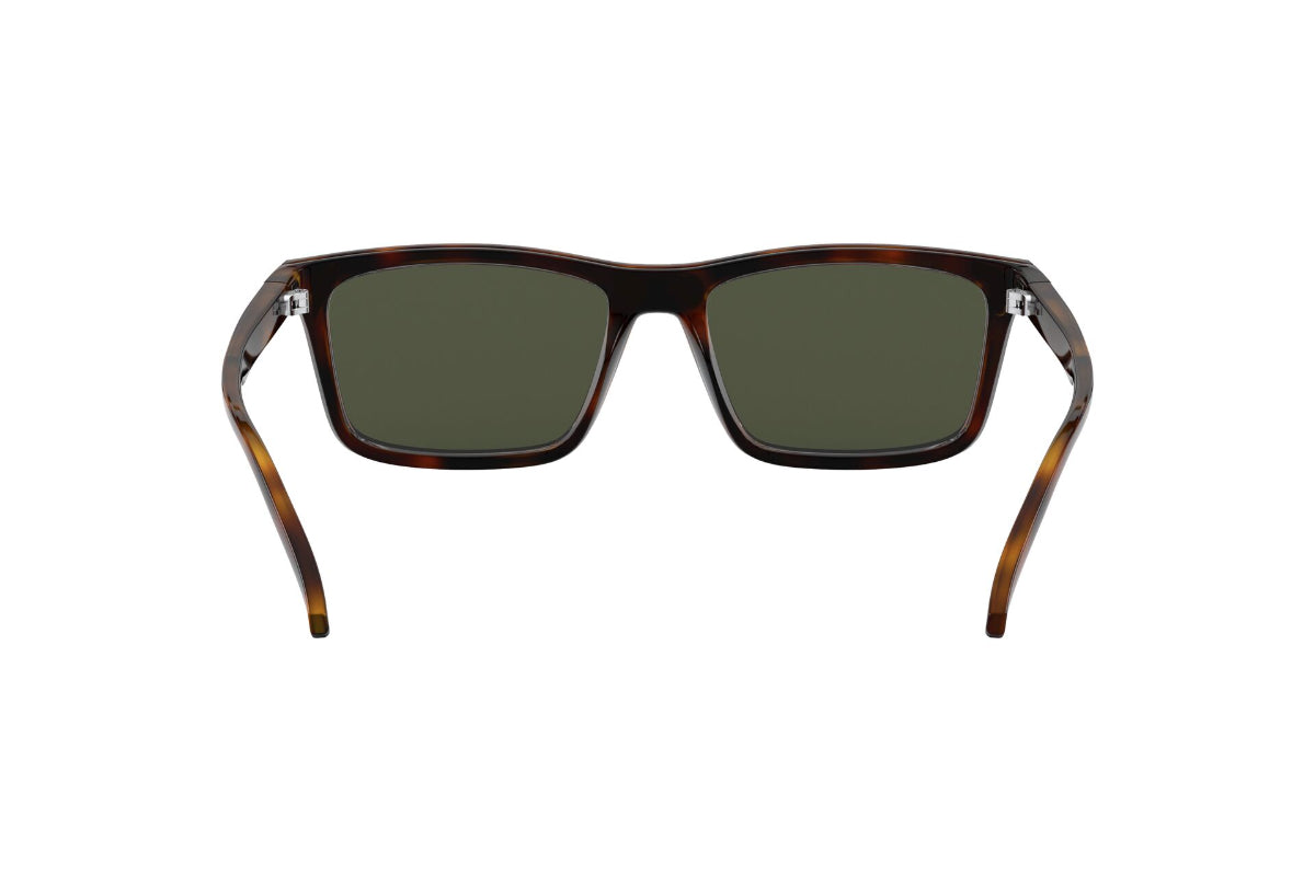 Lentes de Sol Hypno Matte Havana Arnette