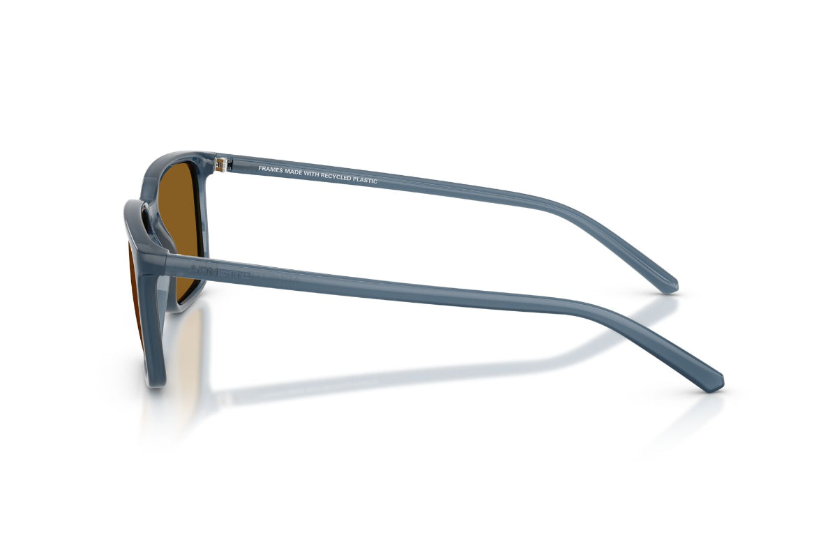 Arnette Lentes de Sol Dinsky Polarizados AN4364