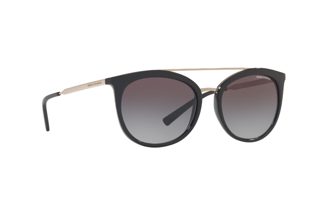 Lentes de Sol Shiny Black Armani Exchange