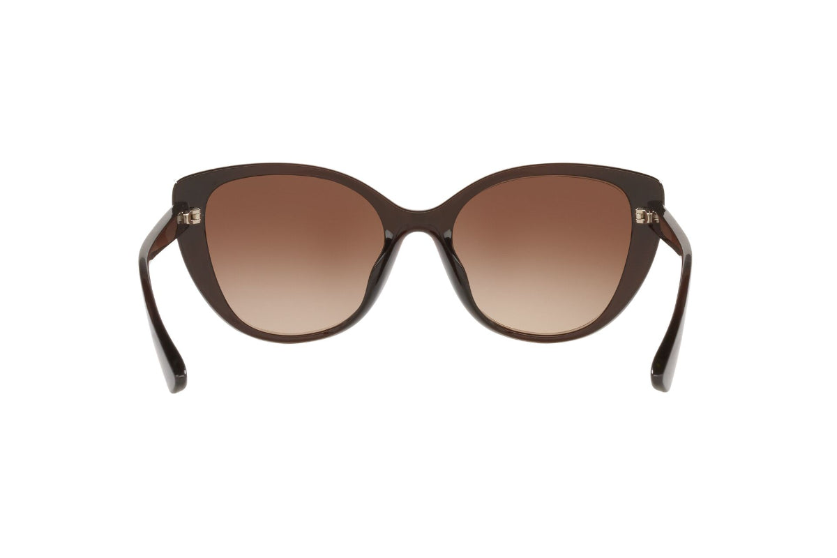 Lentes de Sol Translucent Brown Exchange Armani