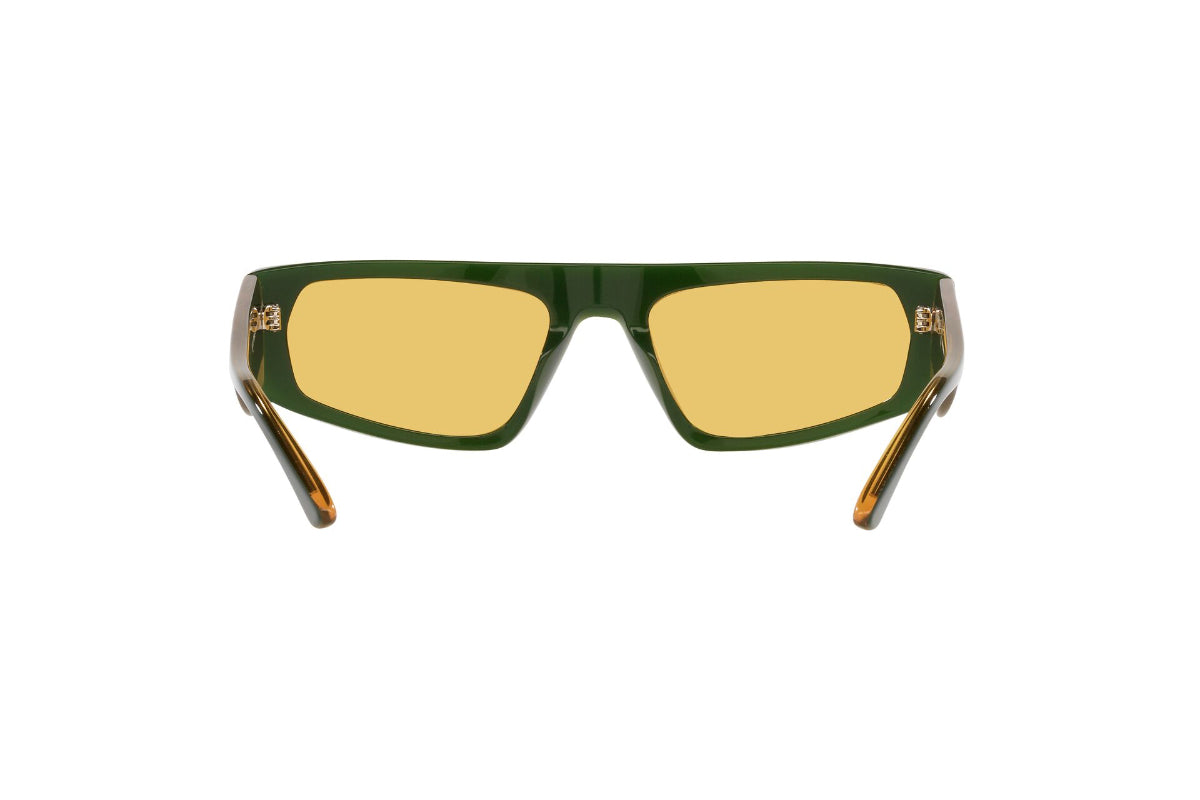 Emporio Armani Lentes de Sol EA4168