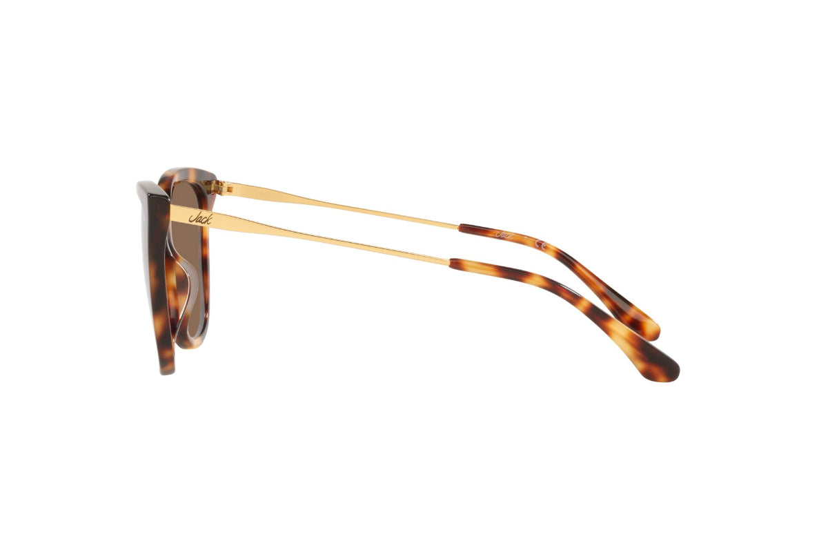 Jack Lentes de Sol JK6001J