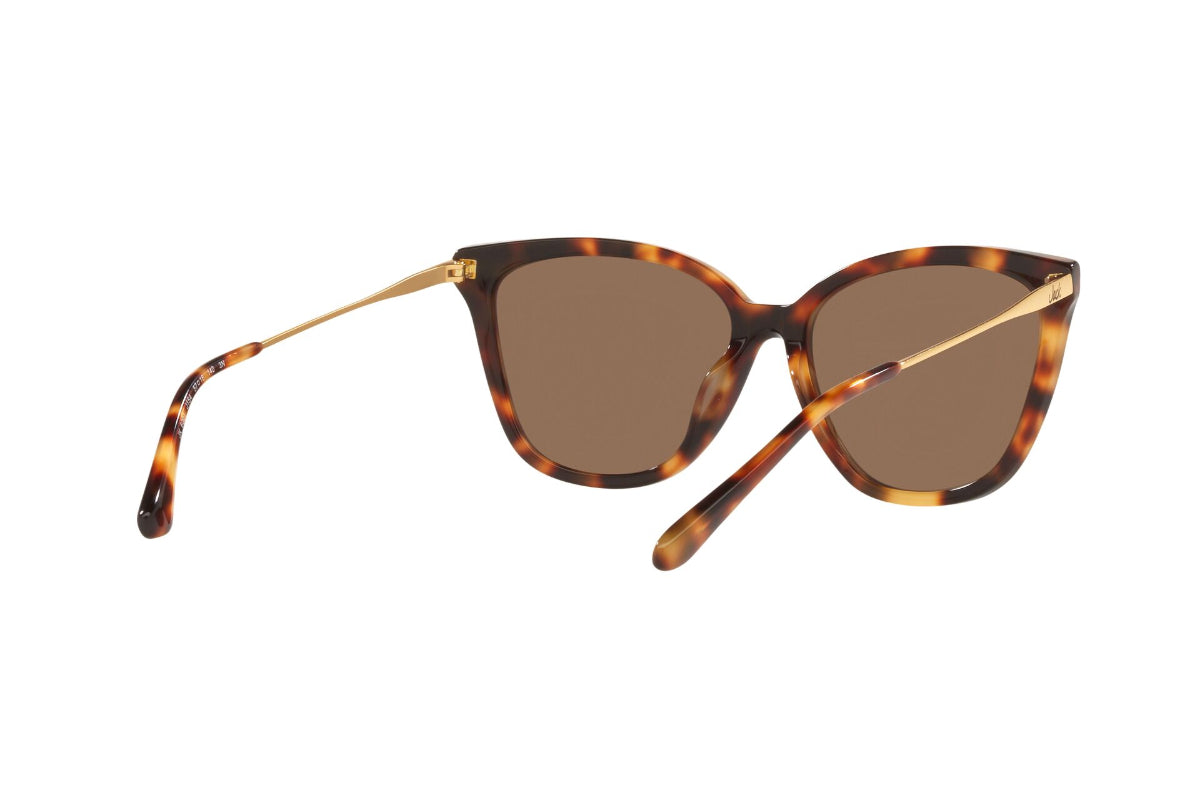 Jack Lentes de Sol JK6001J