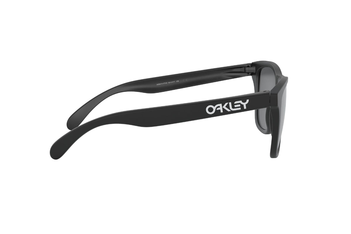 Oakley Lentes de Sol Frogskins Polarizados OO9013