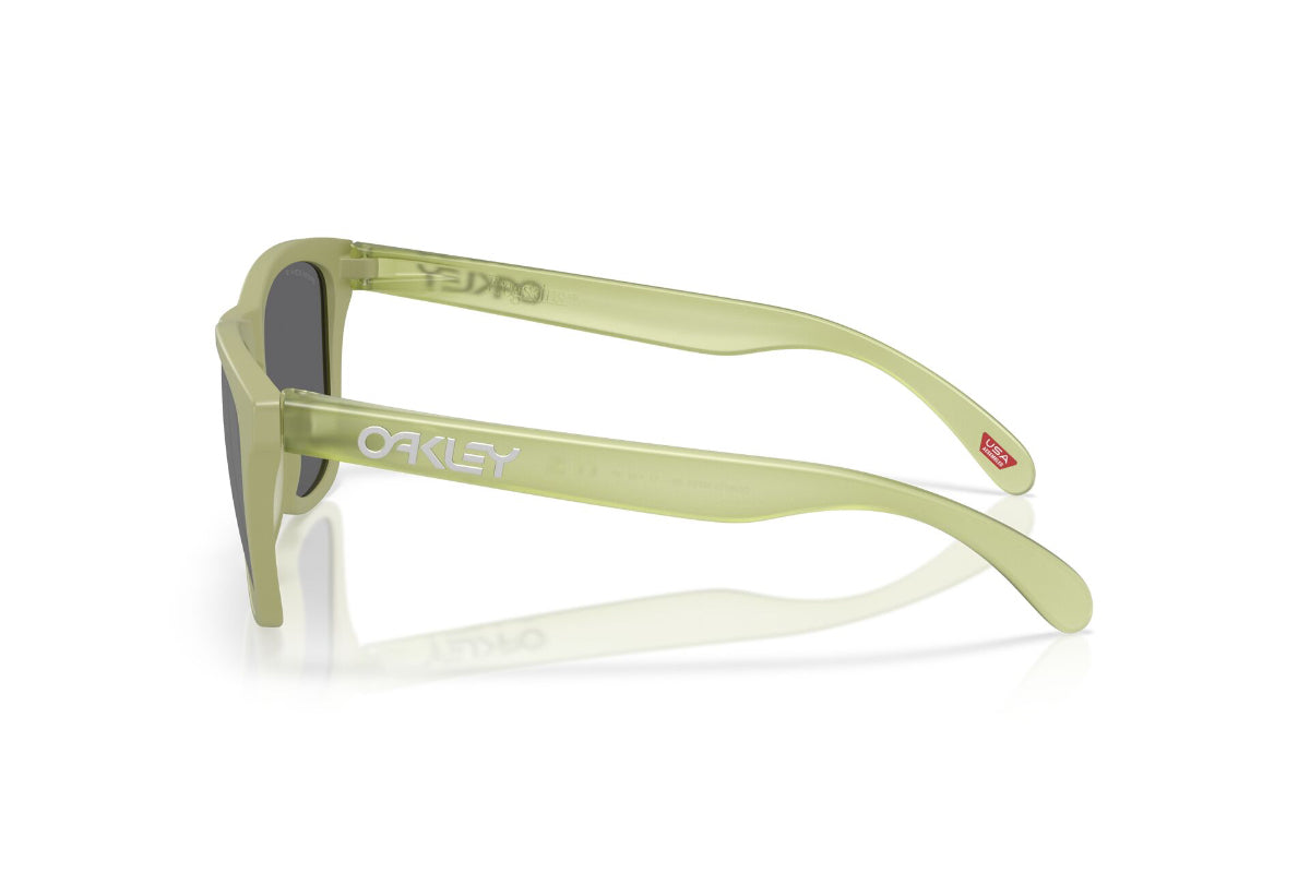 Oakley Lentes de Sol Frogskins Polarizados OO9013