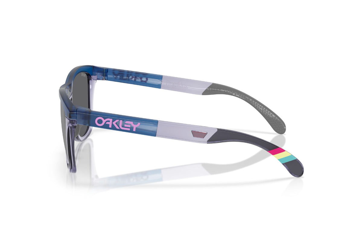 Oakley Lentes de Sol Frogskins Range Prizm OO9284