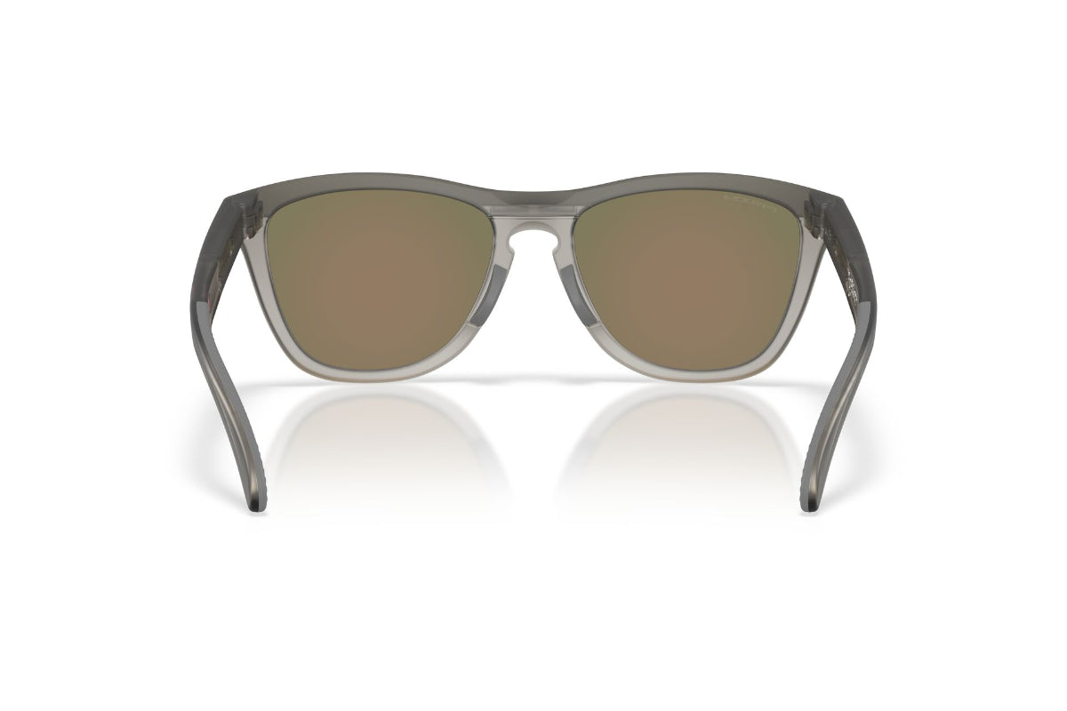 Oakley Lentes de Sol Frogskins Range XL OO9503