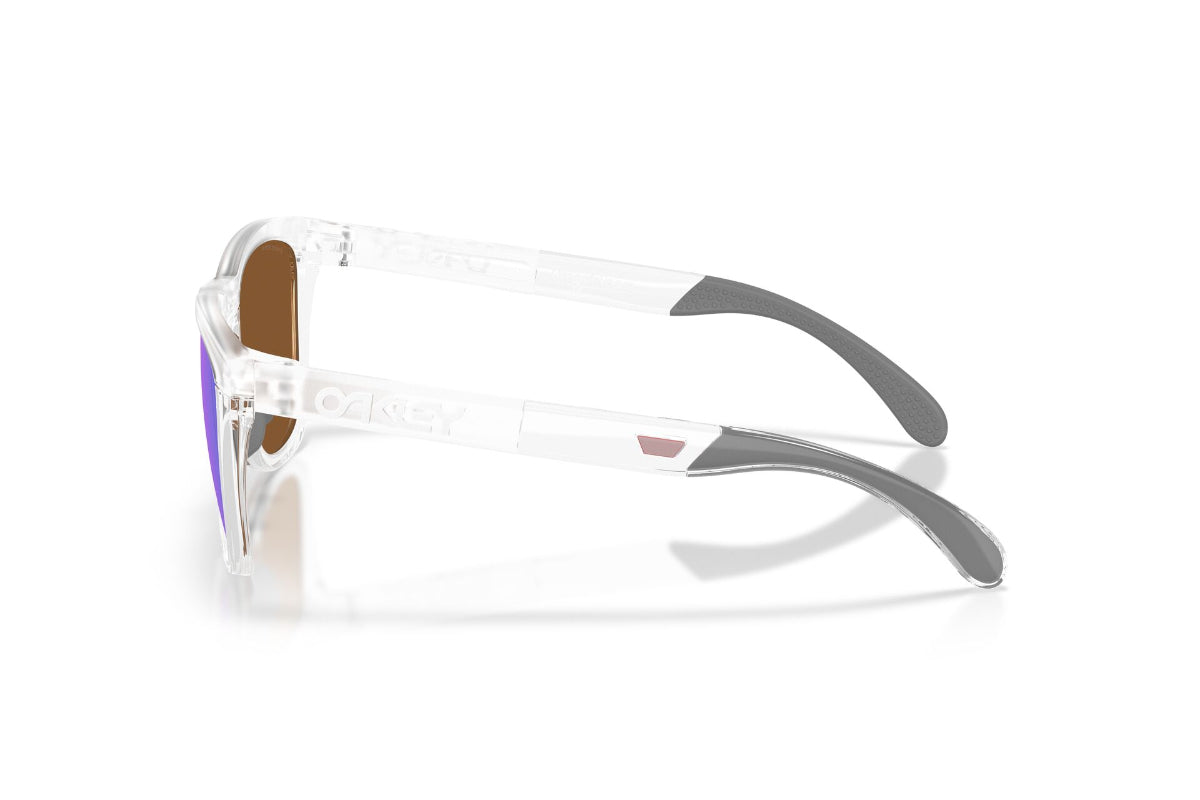 Oakley Lentes de Sol Frogskins Range XL OO9503