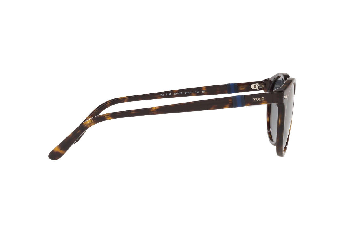 Lentes de Sol Shiny Dark Havana Polo