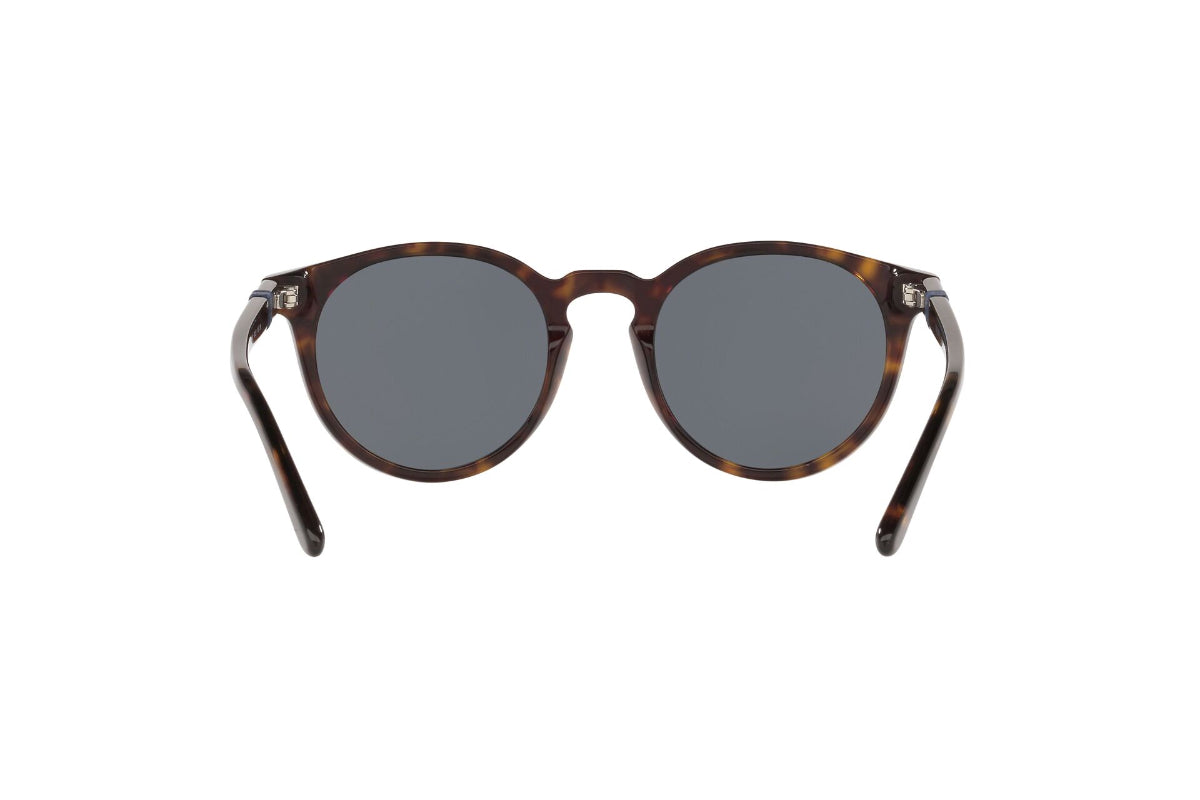 Lentes de Sol Shiny Dark Havana Polo