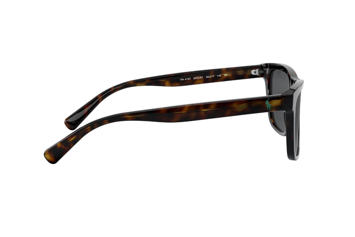 Lentes de Sol Shiny Dark Havana  Polo