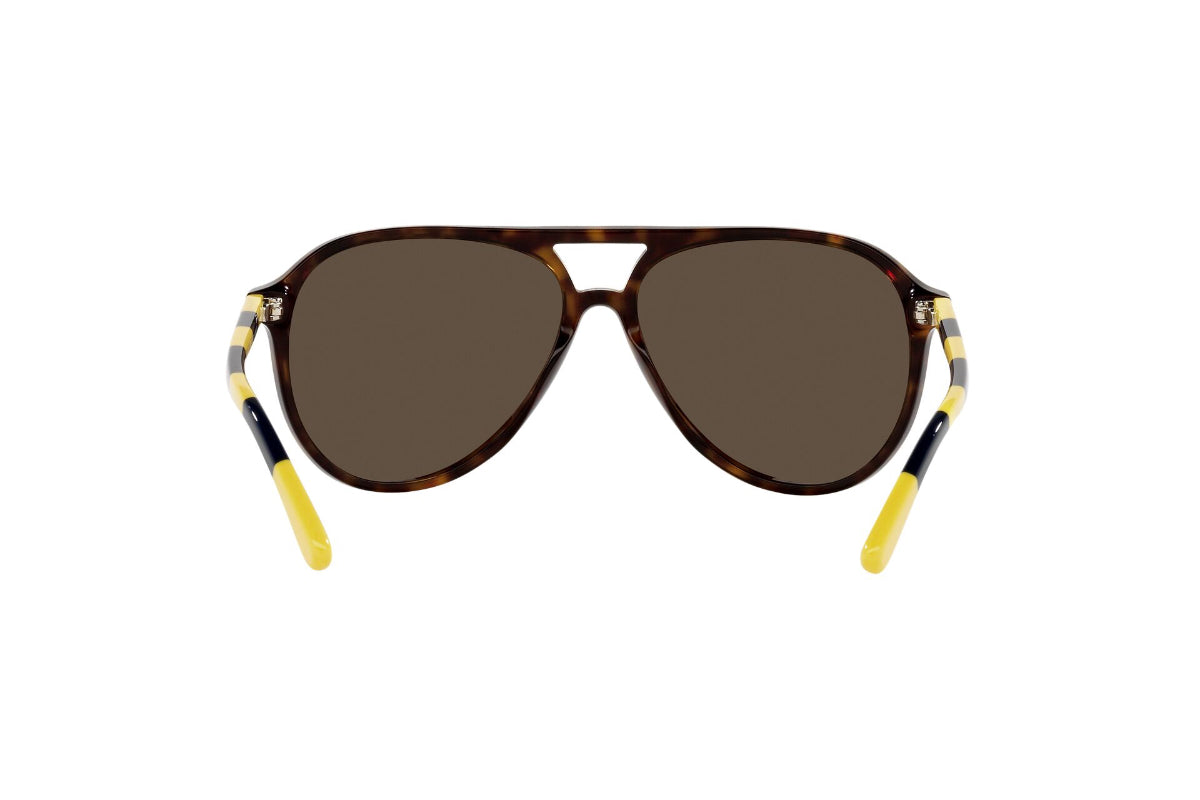 Polo Lentes de Sol PH4173