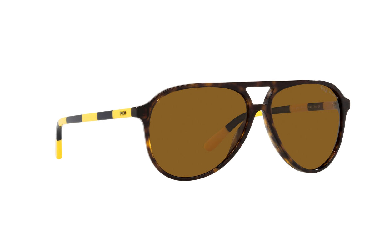 Lentes de Sol Shiny Dark Havana Polarizados Polo