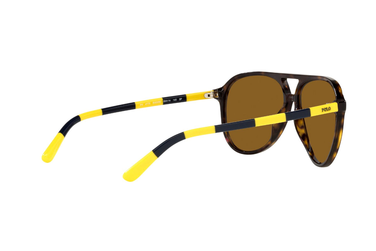 Lentes de Sol Shiny Dark Havana Polarizados Polo