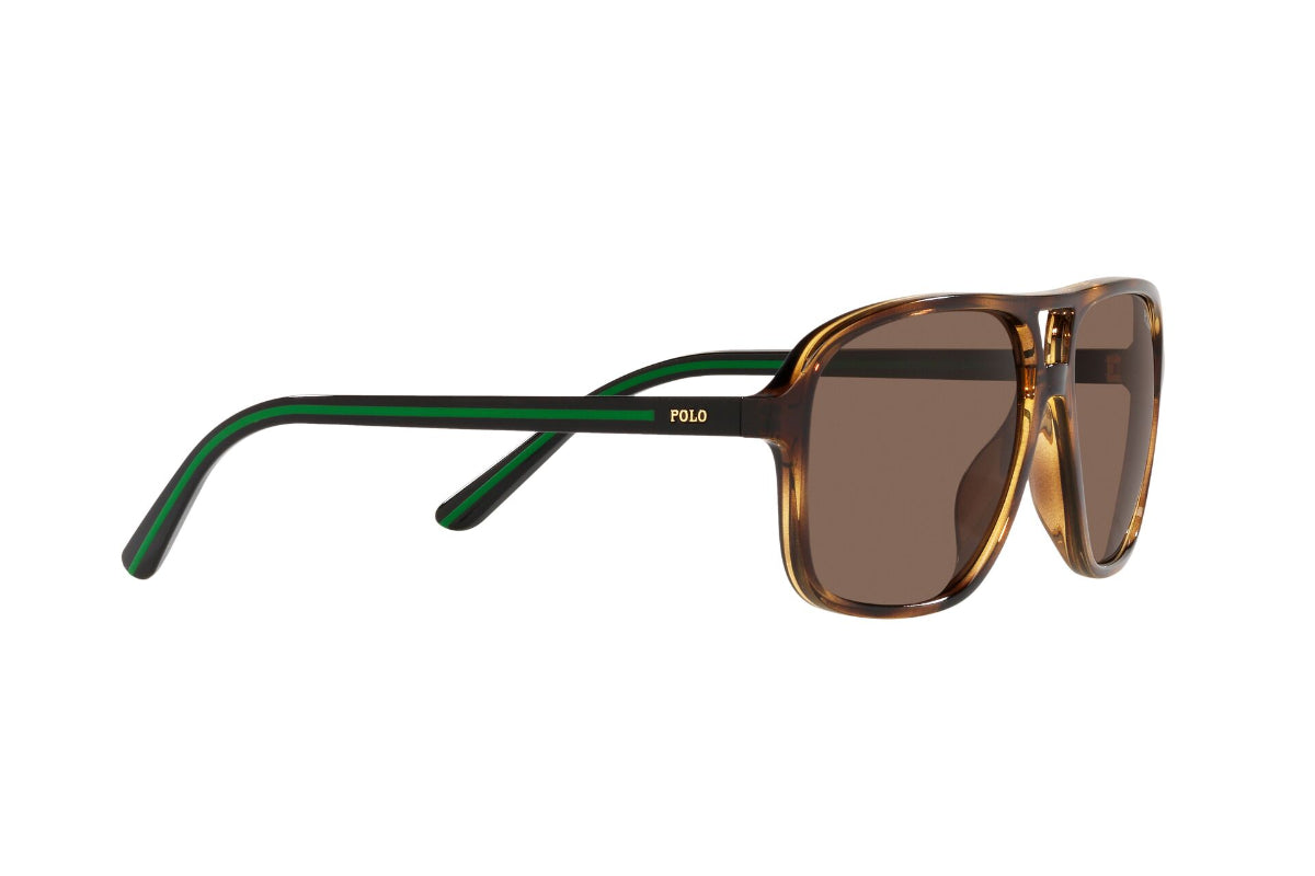 Lentes de Sol Shiny Havana Polo Ralph Lauren
