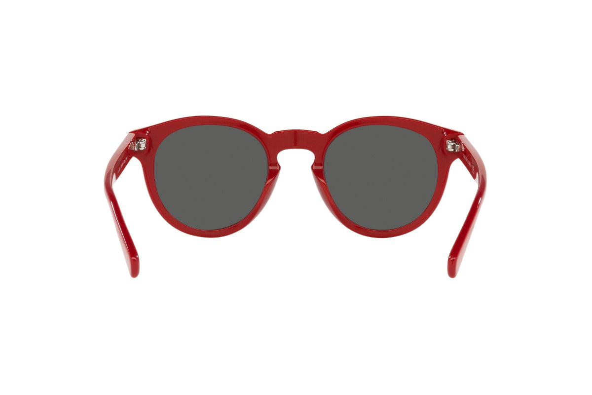 Polo Lentes de Sol PH4184