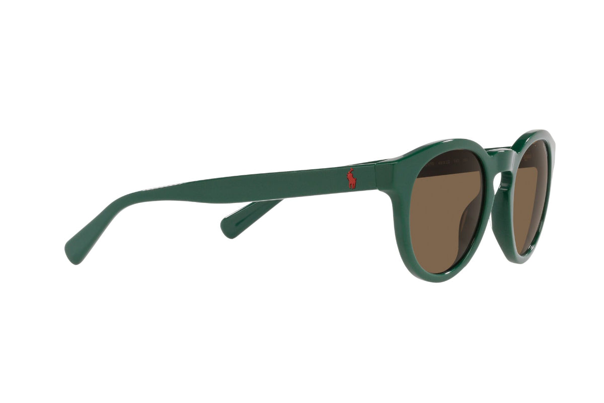 Polo Lentes de Sol PH4184