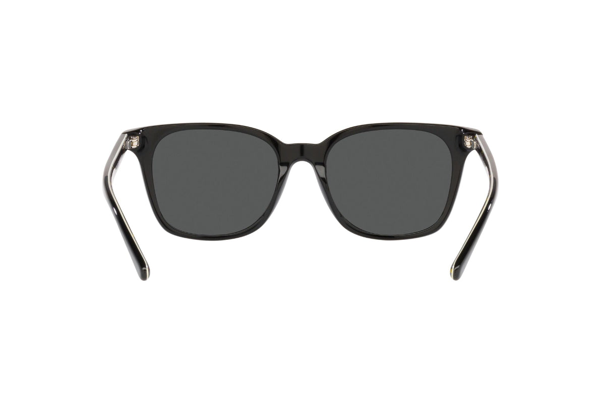 Polo Lentes de Sol PH4187