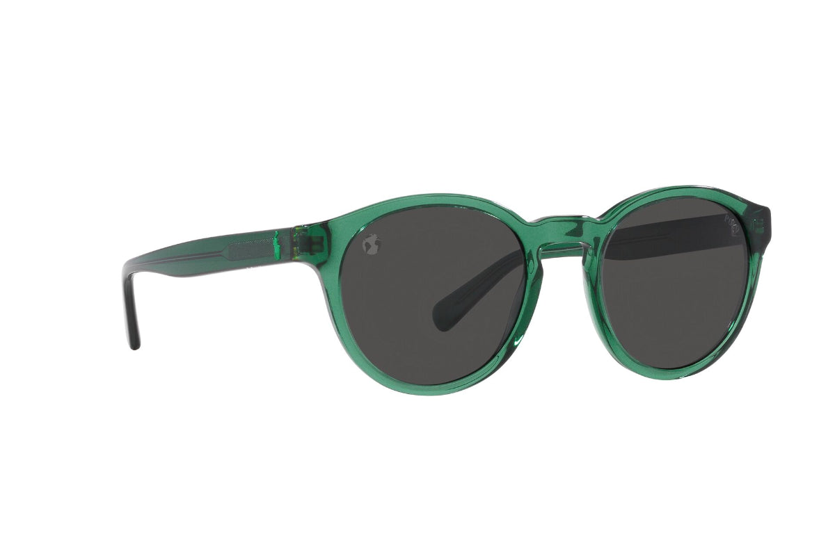 Polo Lentes de Sol PH4192