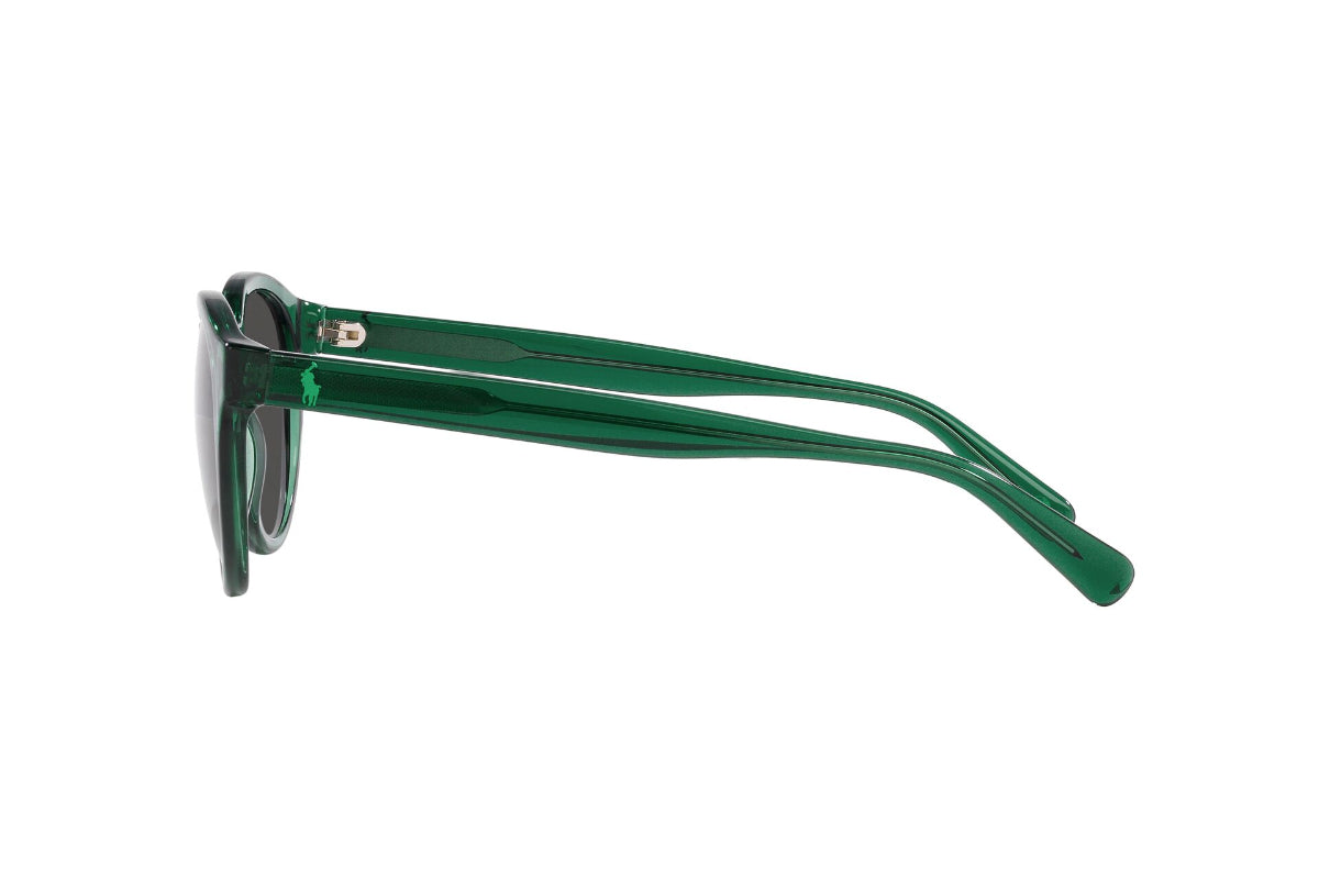 Polo Lentes de Sol PH4192