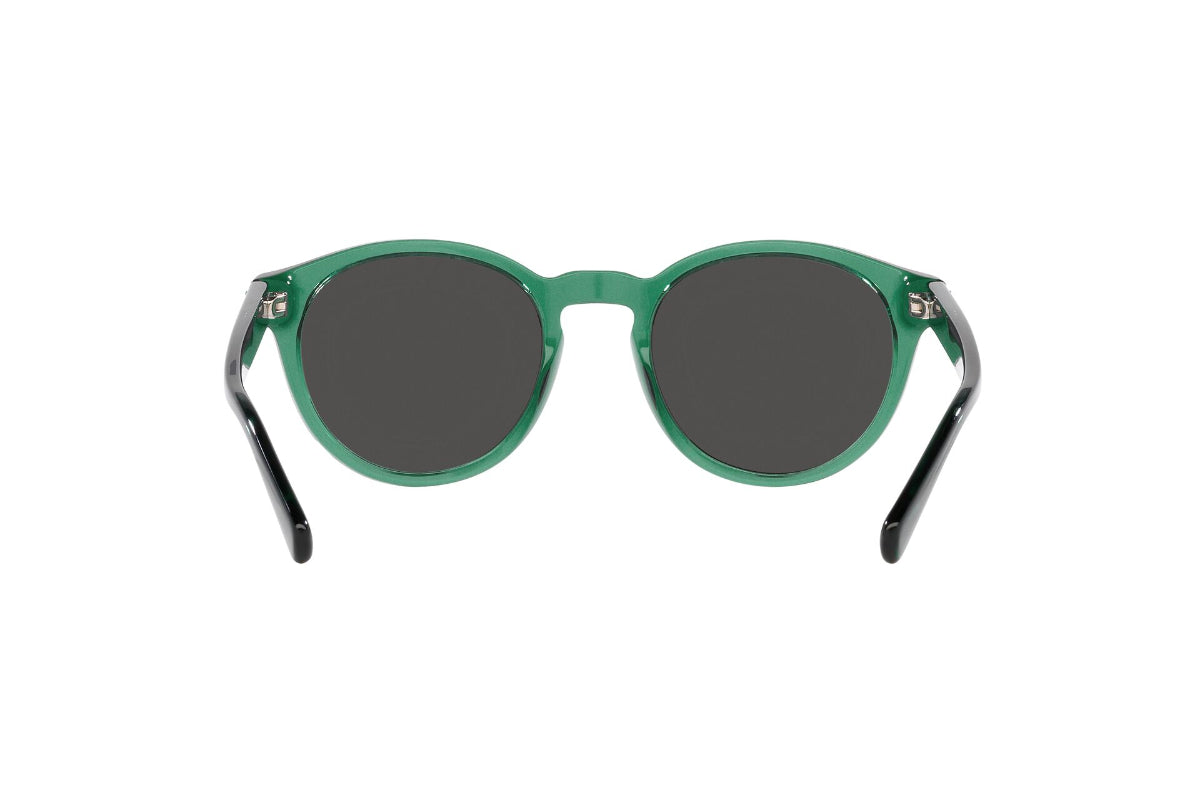 Polo Lentes de Sol PH4192