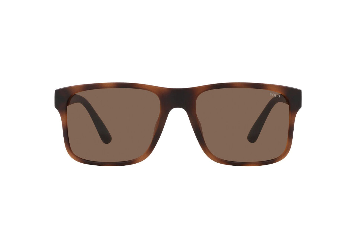 Polo Lentes de Sol PH4195U