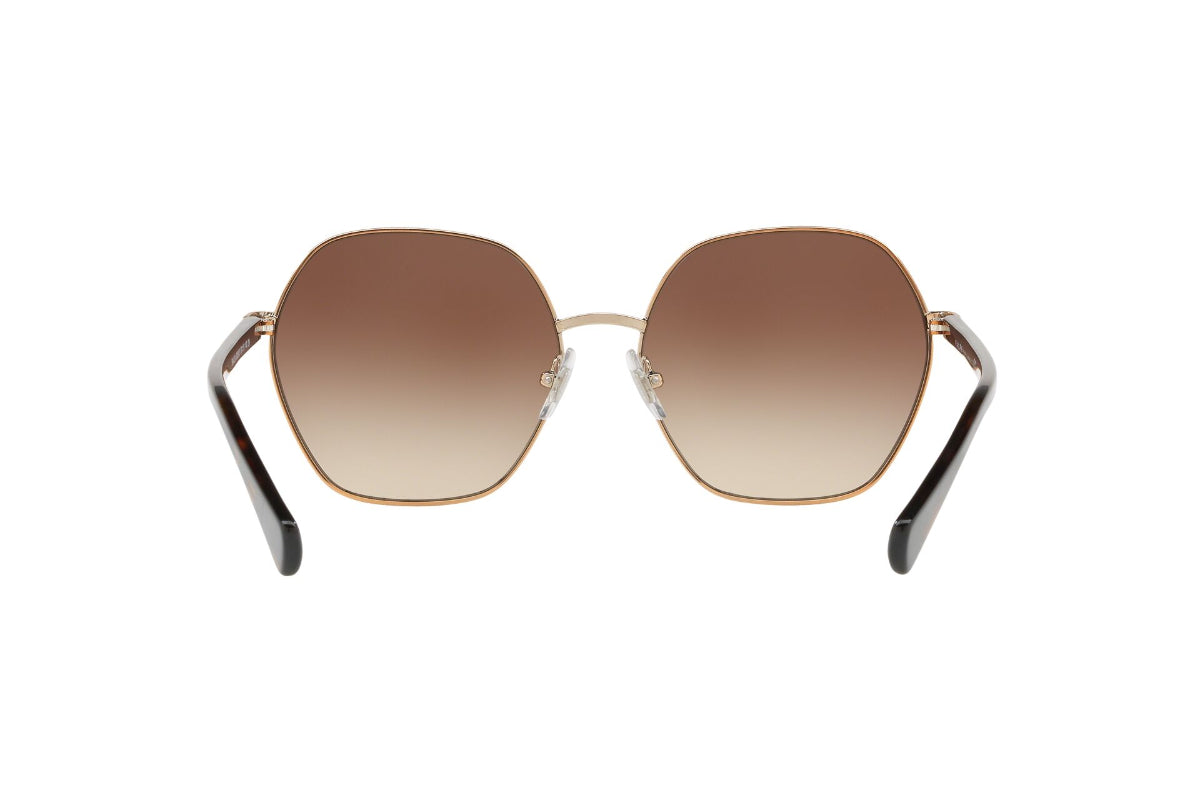 Lentes de Sol Shiny Brown Ralph