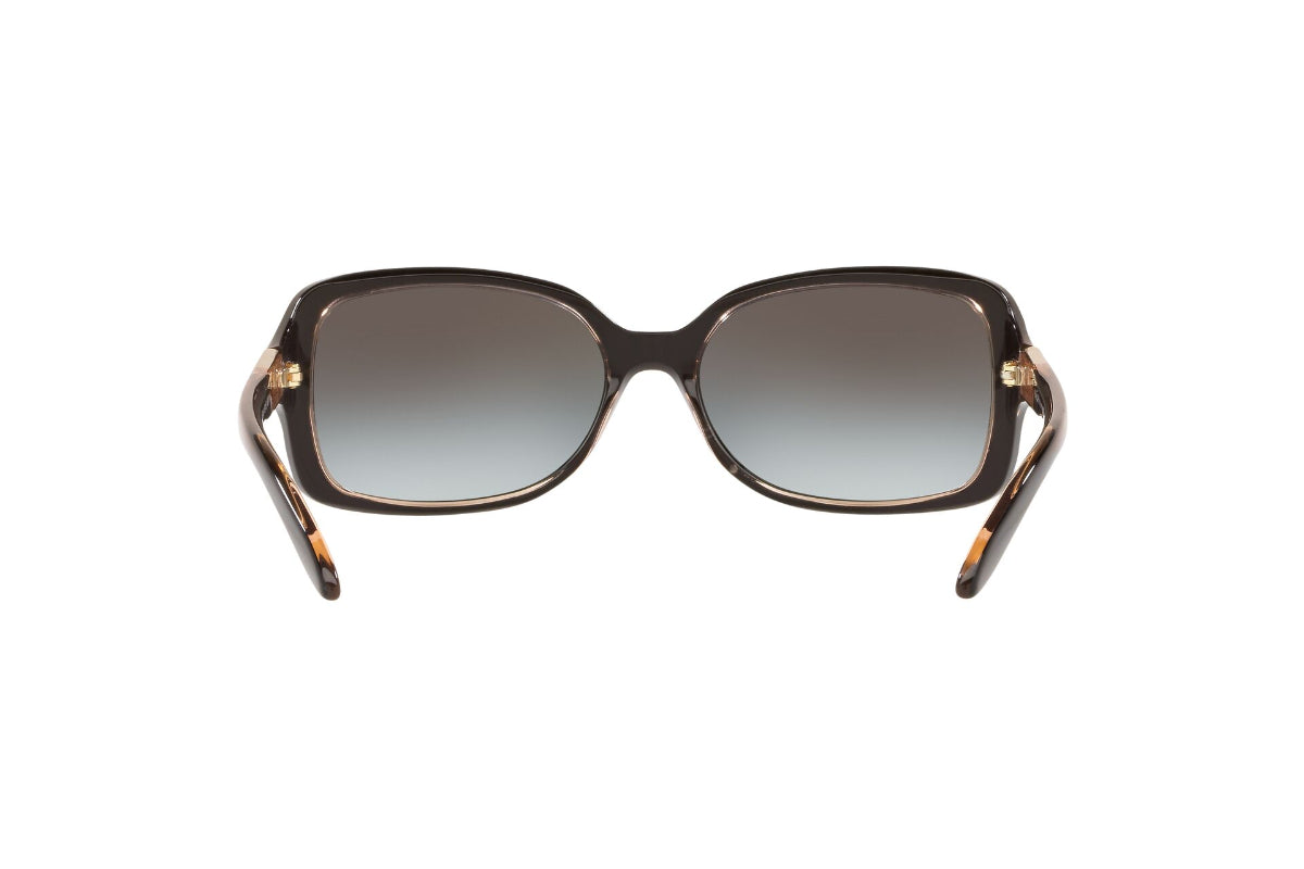Lentes de Sol Shiny Black On Transp Brown  Ralph