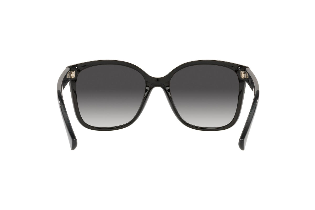 Lentes de Sol Shiny Black Ralph