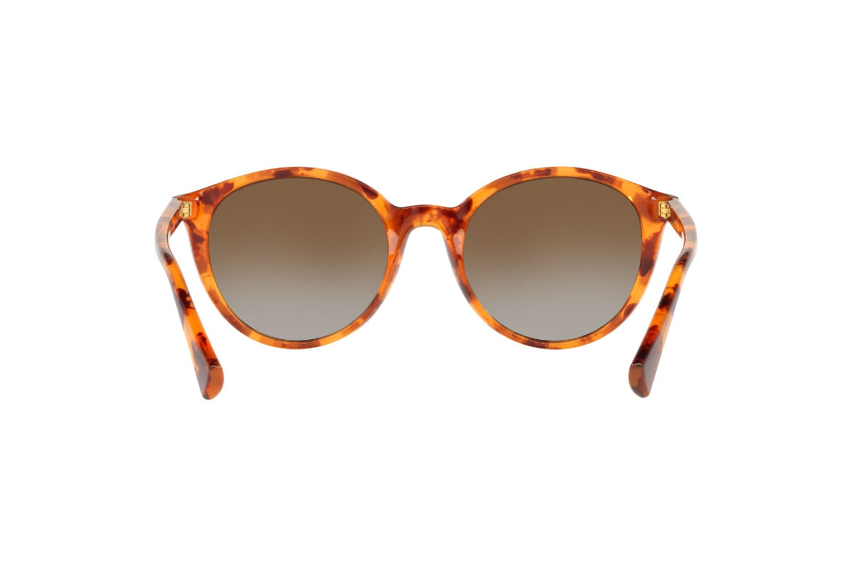 Lentes de Sol Shiny Havana Polarizados Ralph