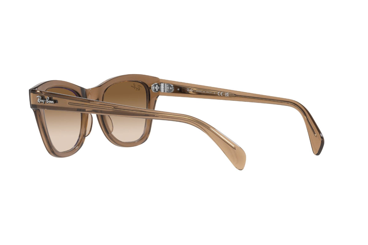 Ray-Ban Lentes de Sol RB0707S