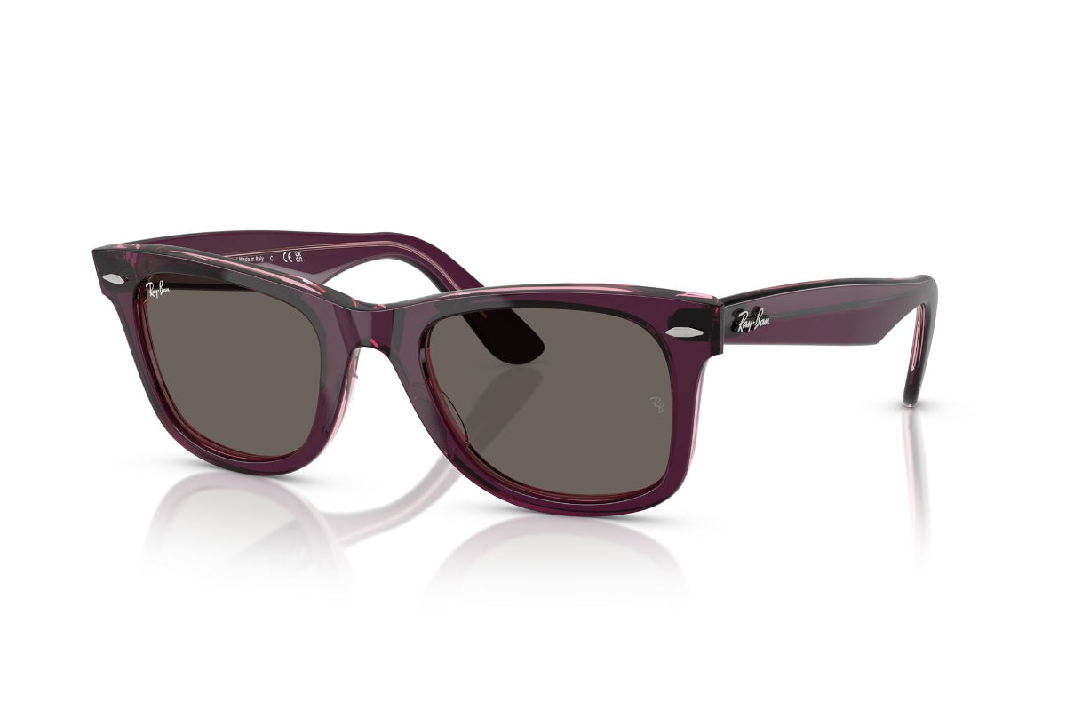Ray-Ban Lentes de Sol Wayfarer RB2140