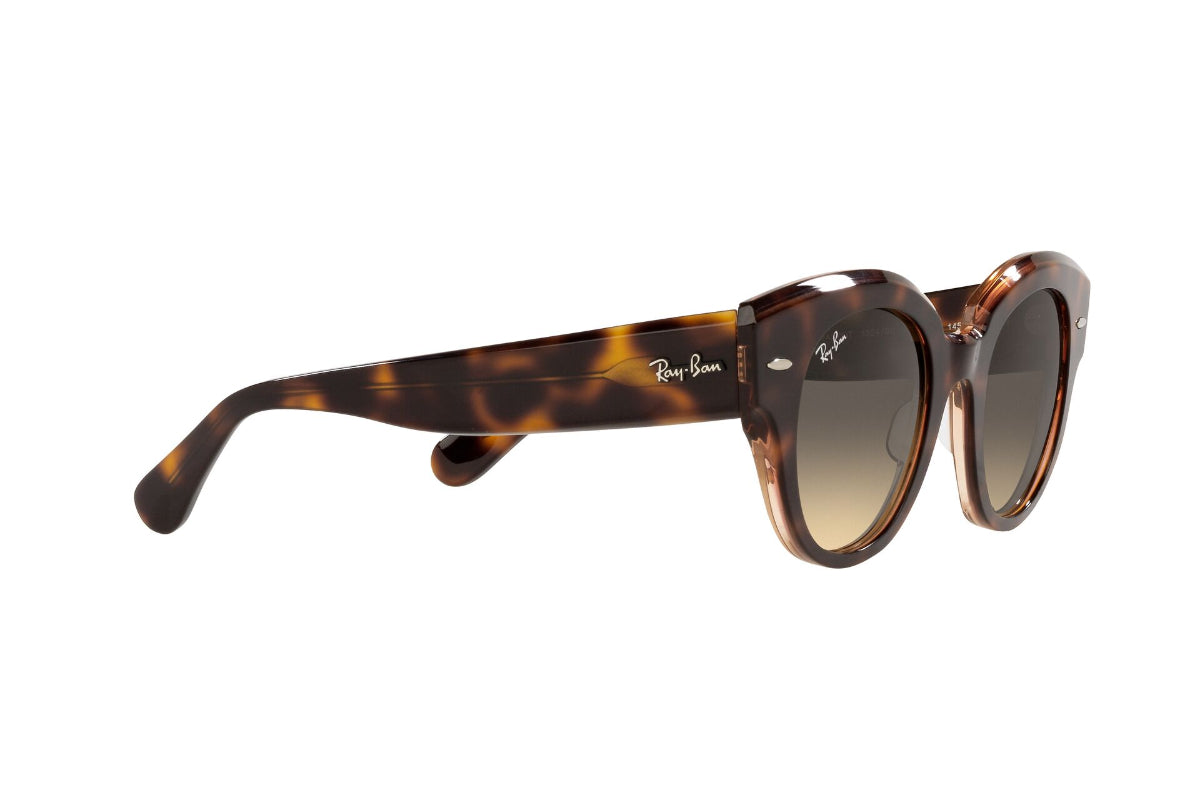 Lentes de Sol Roundabout Havana On  Pink  Ray Ban