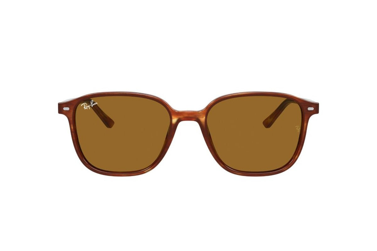 Ray-Ban Lentes de Sol Leonard RB2193