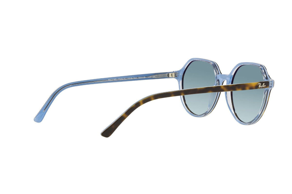 Lentes de Sol Thalia Havana Blue Ray-Ban