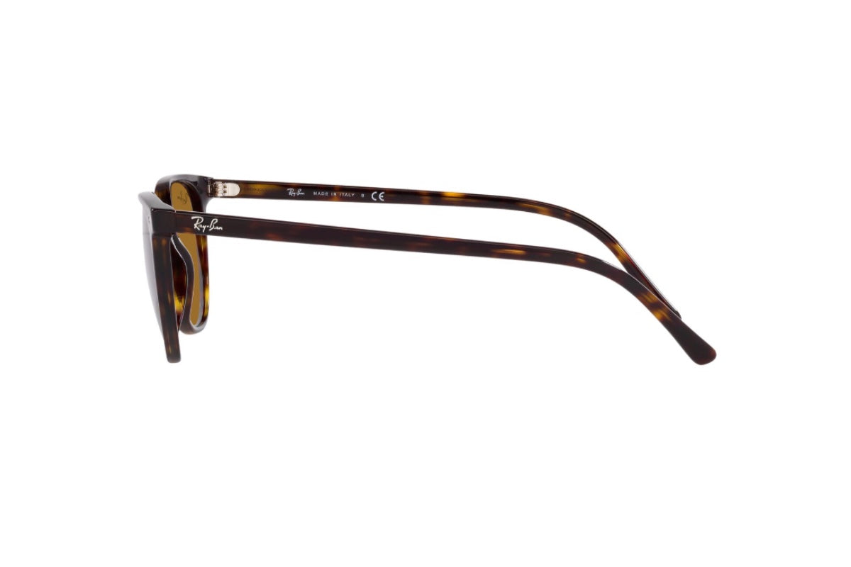 Ray-Ban Lentes de Sol Elliot RB2197